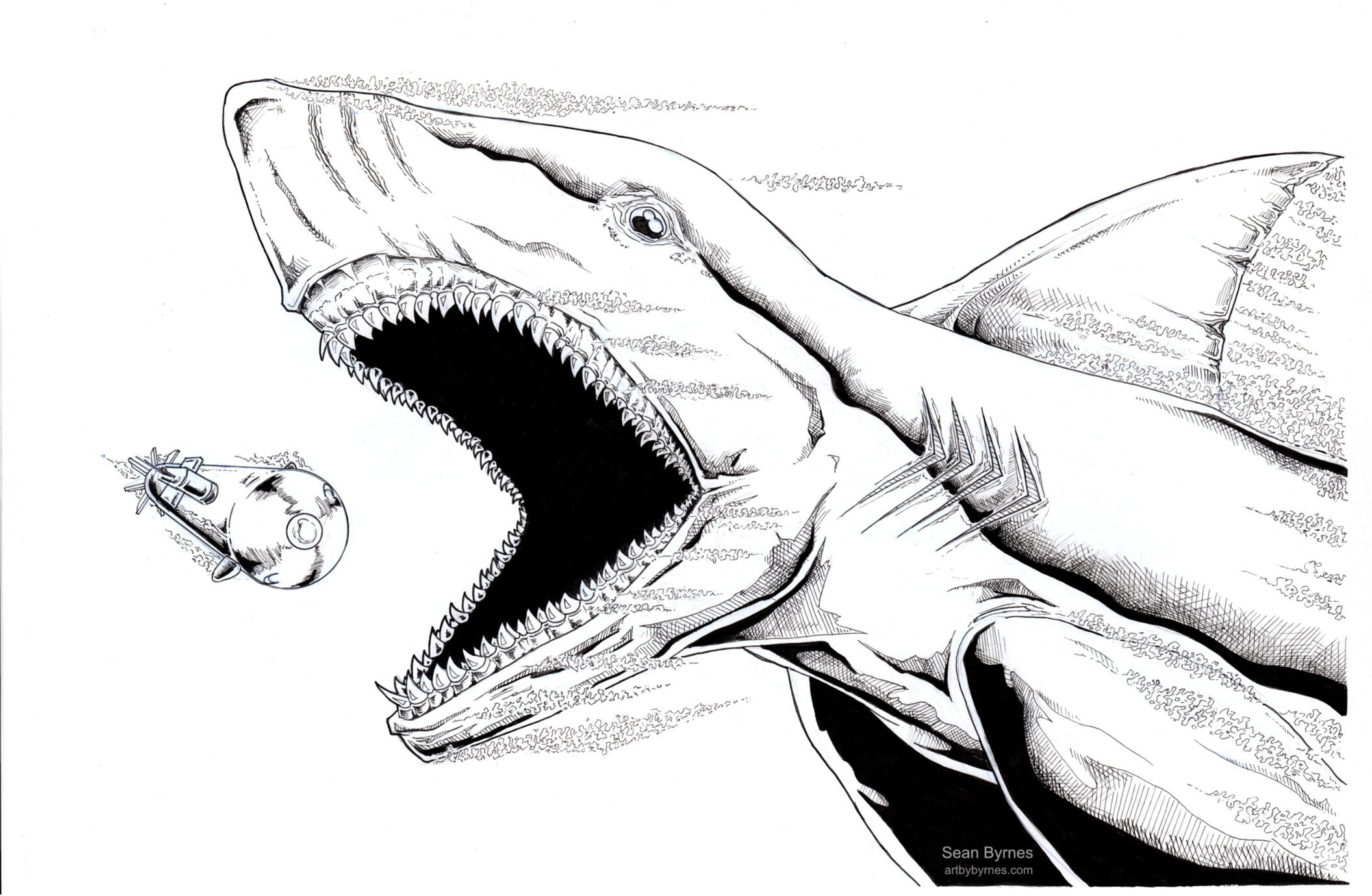 Megalodon (India Ink on Bristol, 11x17)